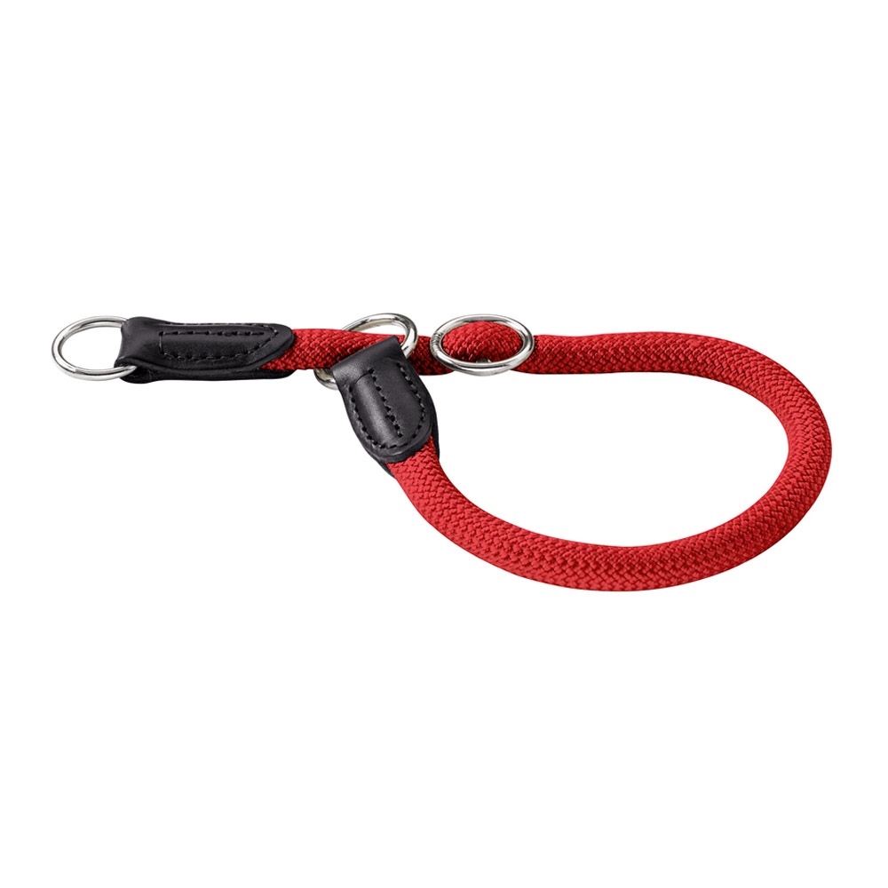 Viajero James Dyson pulgada Collar De Entrenamiento para Perro Freestyle – Hunter