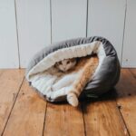 Cueva para Gato Brighton Cave - Imagen 2
