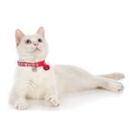 Collar para Gato Glossy Stripes - Imagen 3