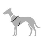 Arnes para Perro Education Side by Side - Imagen 4