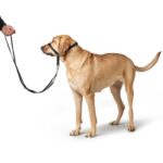 Arnes de Entrenamiento para Perro Follow Me - Imagen 5