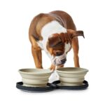 Bowl Travel List 0.75 l. - Imagen 4