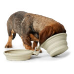 Bowl Travel List 0.35/0.75 l. - Imagen 3
