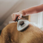 Cepillo Plucking Spa Self Cleaning - Imagen 3