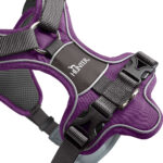 Arnes para Perro Divo - Imagen 6