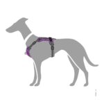 Arnes para Perro Divo - Imagen 3