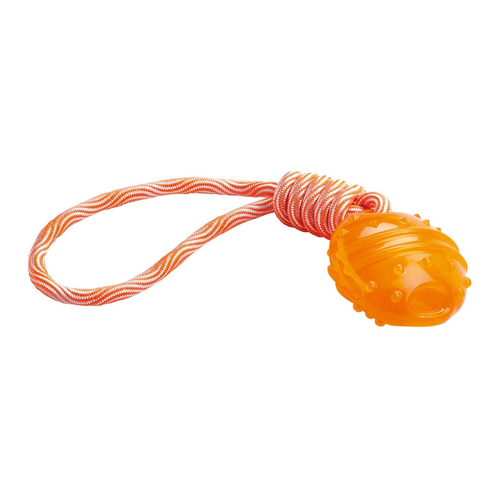 4016739679314_1 Juguete para Perro Aqua Avio Ball - Imagen 1