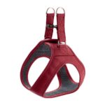 Arnes para Perro Hilo