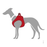 Arnes para Perro Hilo - Imagen 3