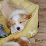 Cama Eiby - Imagen 3