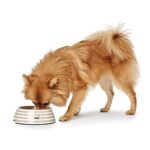 Bowl Sansibar Rantum - Imagen 2