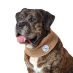 Bufanda para Perro Malmo - Imagen 5