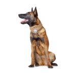 Bufanda para Perro Malmo - Imagen 4