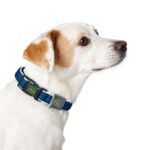 Collar para Perro Hilo Vario Basic - Imagen 2