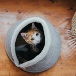 Cueva para Gato Skive - Imagen 3
