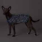 Sueter para Perro Finja - Imagen 5