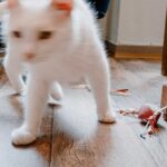 Juguete para Gato Limana Triangle - Imagen 3