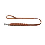 Correa para Perro Solid Education Chain