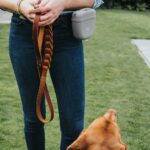 Correa para Perro Solid Education Chain - Imagen 4