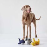 Juguete para Perro Eiby Giraffe - Imagen 4