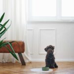 Individual Selection Round - Imagen 3