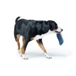 Juguete para Perro Sansibar Morsum Frisbee - Imagen 4