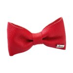Corbata Michi para Perro Paris