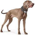 Bufanda para Perro Nancy - Imagen 3