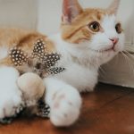 Juguete para Gato Mala Ball - Imagen 3