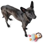 Juguete para Perro Muli Lion - Imagen 2