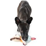 Juguete para Perro Muli Lion - Imagen 3