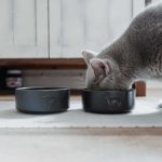 Bowl Osby - Imagen 4