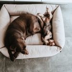 Cama Inari - Imagen 8