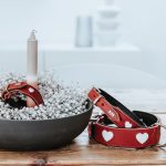 Collar para Perro Love - Imagen 7