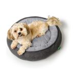Cama Donut Rockford - Imagen 6