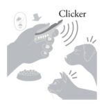 Clicker 2en1 - Imagen 3