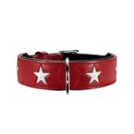 Collar para Perro Magic Star