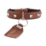 Collar para Perro München Mini