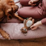 Juguete para Perro Fyn Bear - Imagen 2