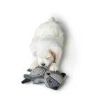 Juguete para Perro Fyn Badger - Imagen 2
