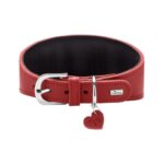 Collar para Perro Greyhound Love - Imagen 2