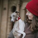 Collar para Perro Greyhound Love - Imagen 5