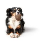 Juguete para Perro Tirana Ball - Imagen 2