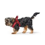 Arnés para Perro Love - Imagen 6