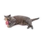 Juguete Para Gato Moa Dubleball - Imagen 2