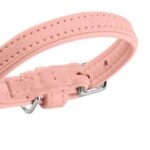 Collar para Perro Soho Mini - Imagen 4
