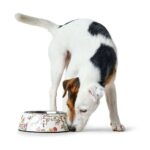 Bowl Mogami - Imagen 3