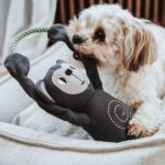 Juguete para Perro Rio Monkey - Imagen 3
