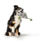 Juguete para Perro Rio Koala Bear - Imagen 2