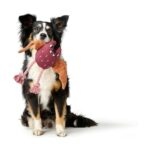 Juguete para Perro Rio Bat - Imagen 2